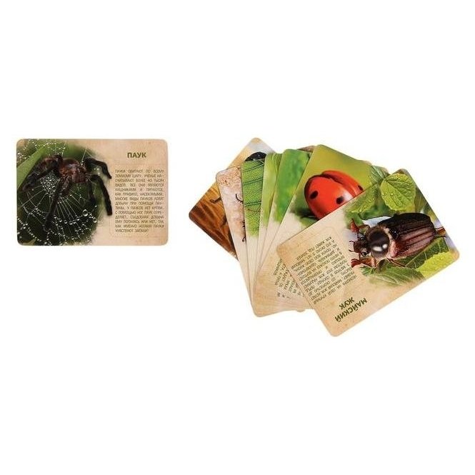 Набор животных с обучающими карточками В мире насекомых, животные пластик, карточки