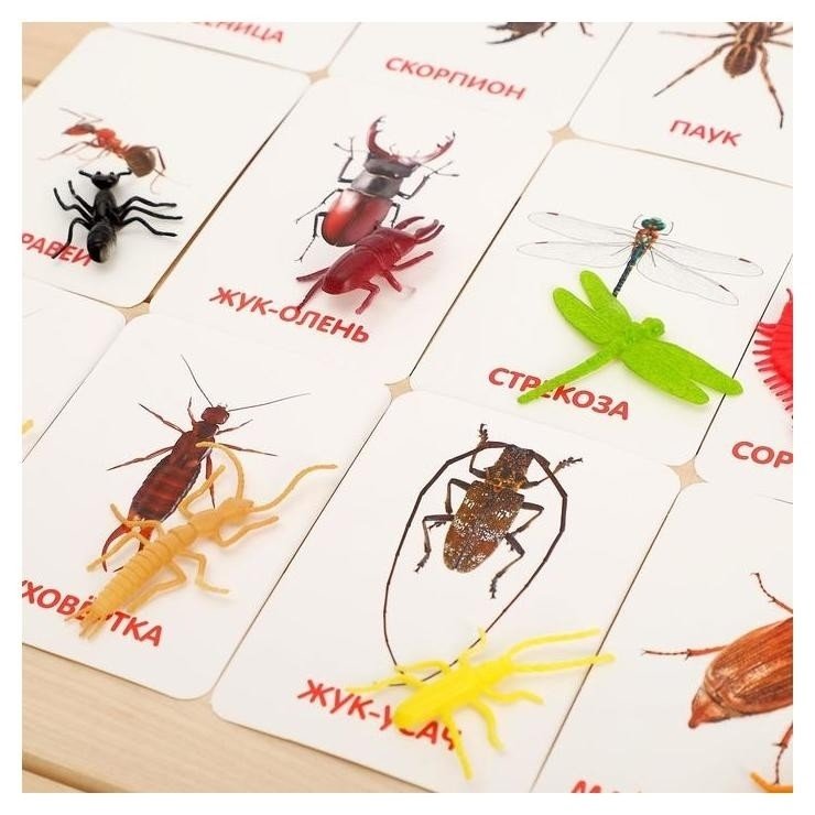 Развивающий набор с карточками Мир насекомых, по методике Домана