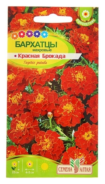Семена цветов бархатцы Красная брокада, махровые, О, 0,3 г.