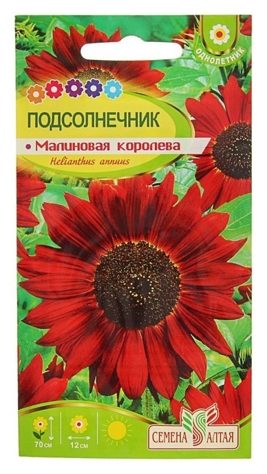 Семена цветов подсолнечник Малиновая королева, О, 0,5 г.