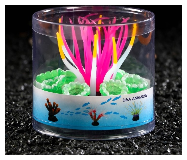 Декор для аквариума анемон, силиконовый, святящийся в темноте, 7 х 7 х 9 см, розовый