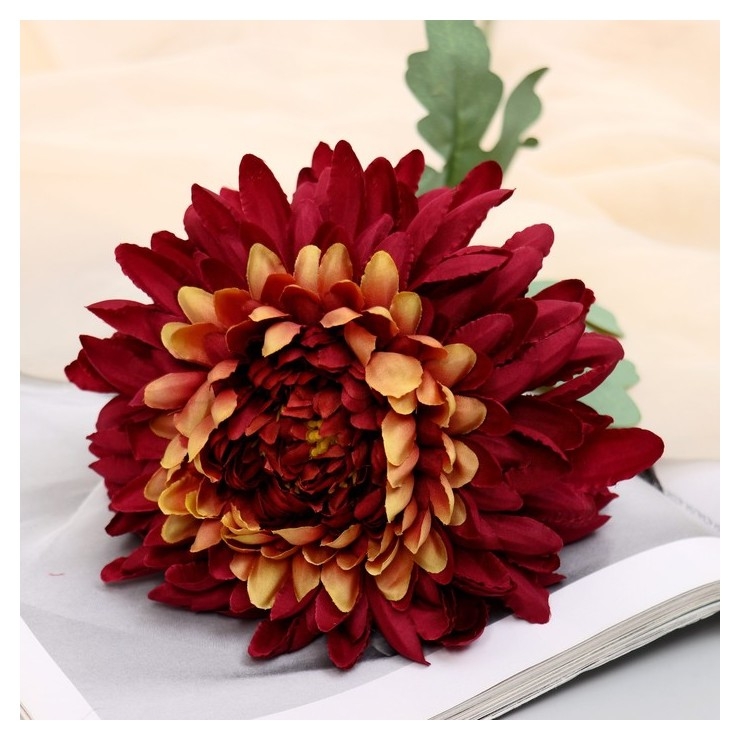 Цветы искусственные "Хризантема садовая галант" 14х57 см, бордовый1
